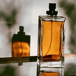 Why Perfumes Fades So Quickly On the Body [2024]